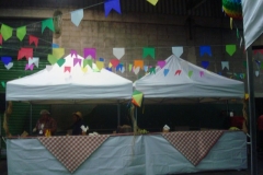 festa-junina-002