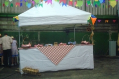 festa-junina-003