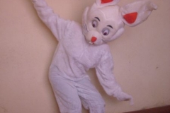 DSC06846